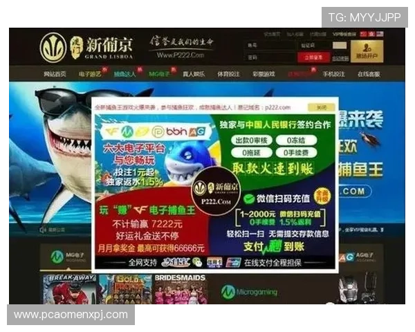 新葡京安卓版最新版本更新内容详解，优化游戏体验提升玩家满意度