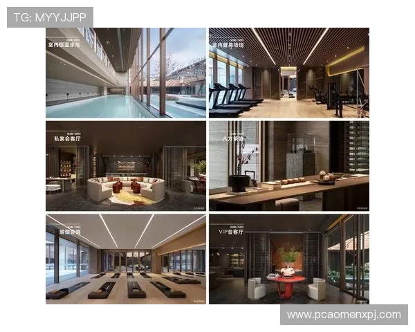 新葡京集团最新动态：2026年最新项目与合作伙伴全景介绍